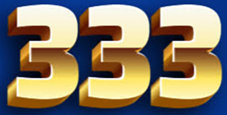 bd333det.com Logo
